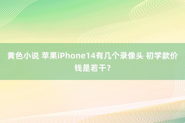 黄色小说 苹果iPhone14有几个录像头 初学款价钱是若干？