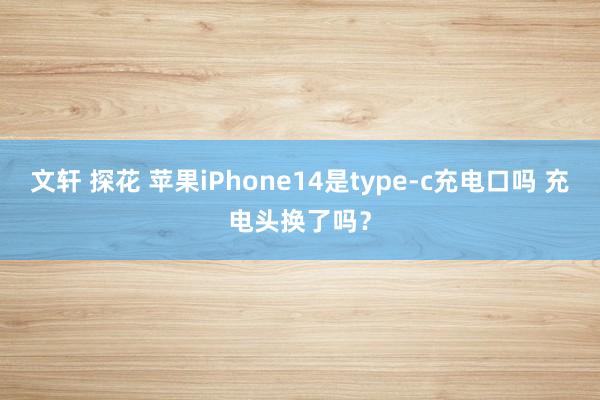 文轩 探花 苹果iPhone14是type-c充电口吗 充电头换了吗？