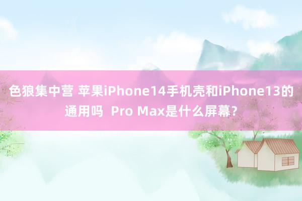 色狼集中营 苹果iPhone14手机壳和iPhone13的通用吗  Pro Max是什么屏幕？