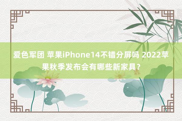 爱色军团 苹果iPhone14不错分屏吗 2022苹果秋季发布会有哪些新家具？